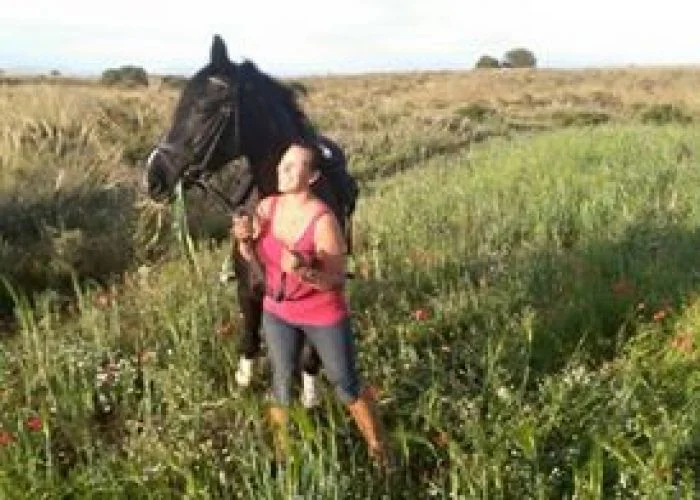 Pferd Pancho