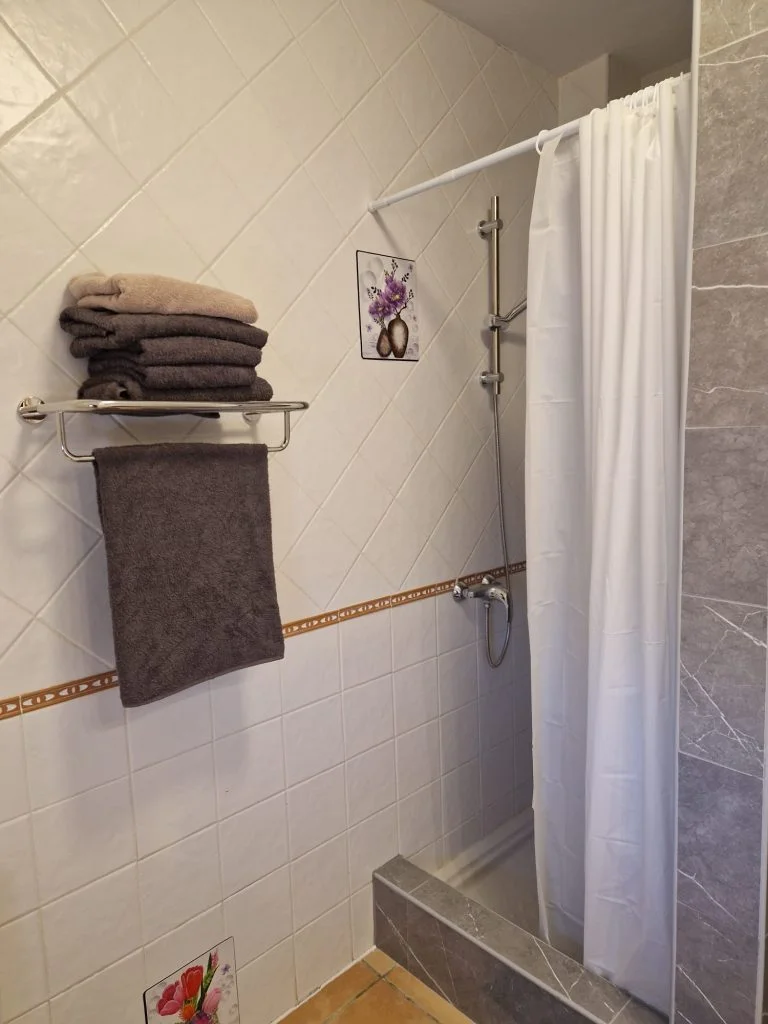 Douche met handdoeken in de badkamer van het appartement