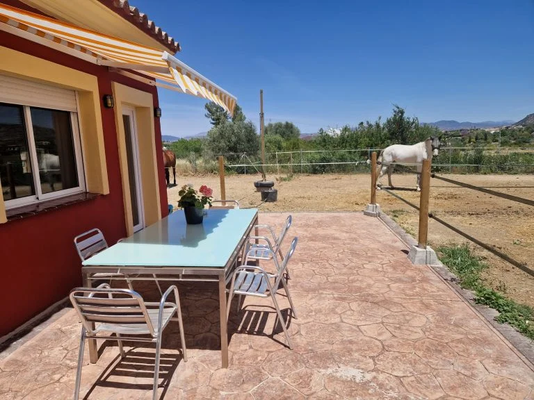 Terras met tafel en uitzicht op de paarden van Rancho Pancho