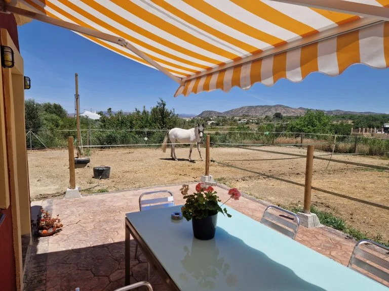 Uitzicht vanaf het terras op een wit paard en de bergen rond Alhaurín el Grande