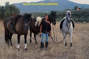 Ortsbild von „Rancho Pancho Annemiek Alhaurin Paardrijden malaga“