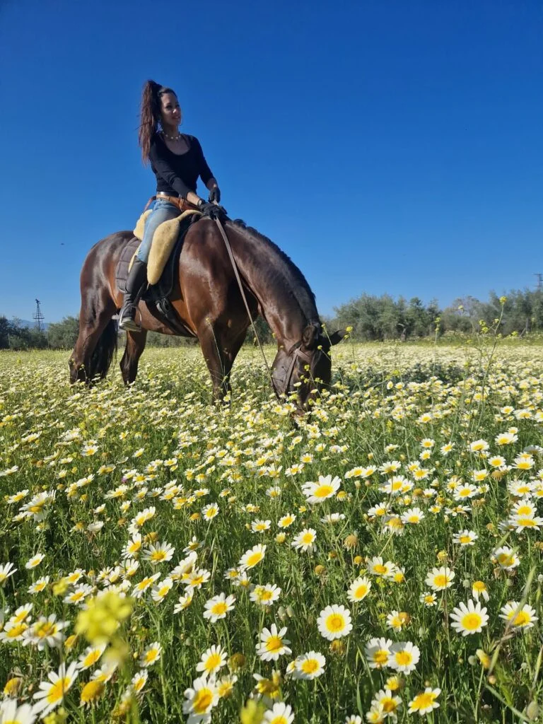 Reiterin auf einem Pferd in einem Gänseblümchenfeld bei Alhaurín el Grande