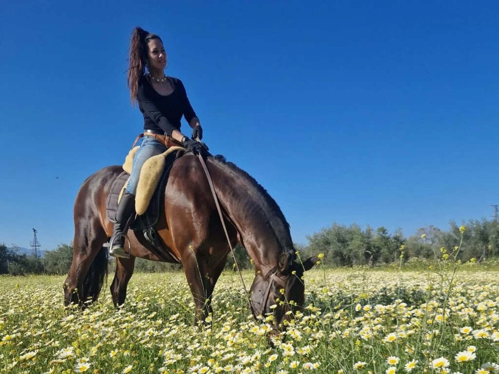 Ruiter op een paard in een veld vol madeliefjes bij Alhaurín el Grande