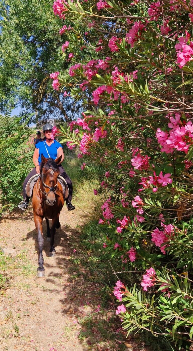 Ausritt auf einem Weg mit blühendem Oleander im Guadalhorce-Tal