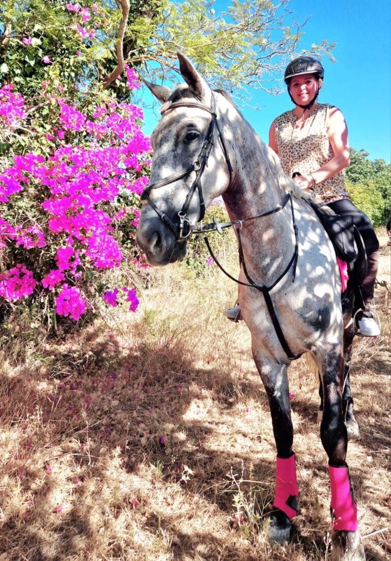 Schimmel mit Reiterin neben einer blühenden Bougainvillea beim Ausritt