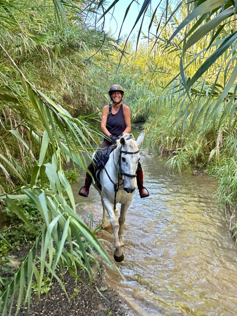 Schimmel läuft durch den Fluss zwischen Schilf im Guadalhorce-Tal